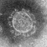 【グラブル】新型コロナウイルスの影響で音声収録が中止に、今後公開のコンテンツでは一部音声が未実装になるとのこと、音声の実装は今後収録が再開されてからになる予定